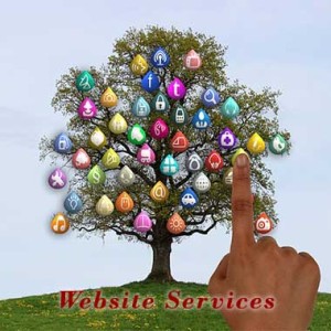 Website-Services